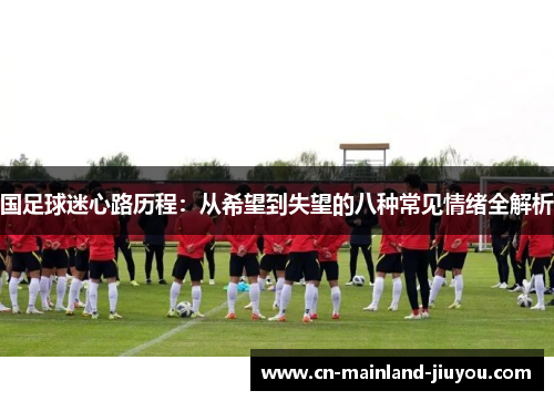 国足球迷心路历程:从希望到失望的八种常见情绪全解析 国足球迷心路历程:从希望到失望的八种常见情绪全解析