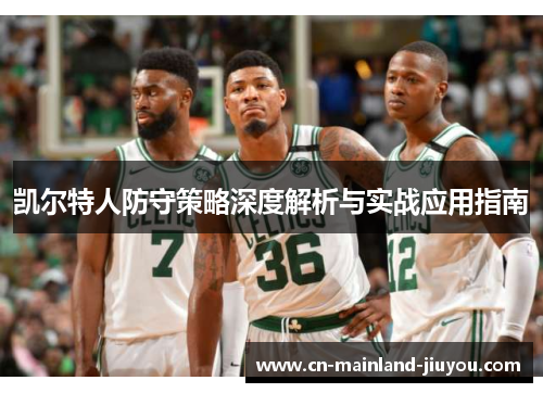 凯尔特人防守策略深度解析与实战应用指南