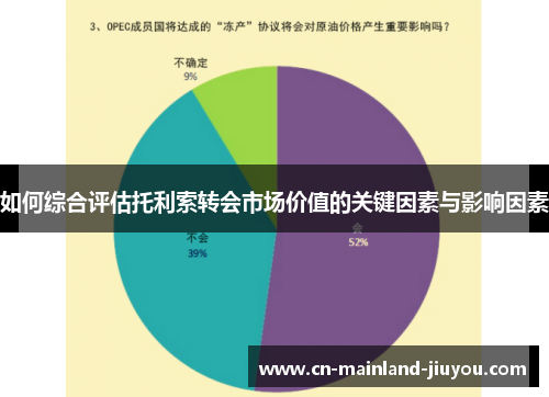 如何综合评估托利索转会市场价值的关键因素与影响因素 如何综合评估托利索转会市场价值的关键因素与影响因素