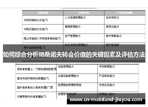 如何综合分析胡桑诺夫转会价值的关键因素及评估方法