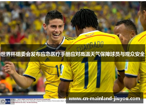 世界杯组委会发布应急医疗手册应对高温天气保障球员与观众安全